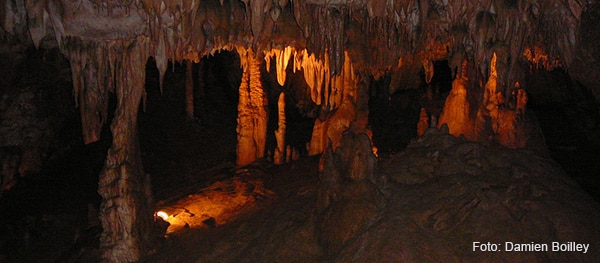 Moidons grotten