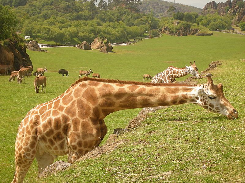 Parque de la Naturaleza Cabárceno