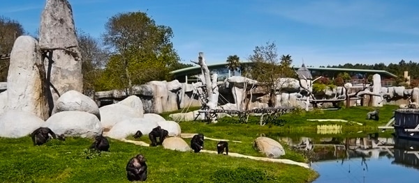 Zoo de La Palmyre in zuidwest Frankrijk