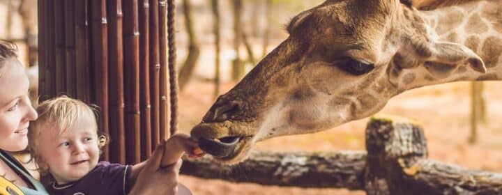 10 leuke uitjes met kinderen in Spanje