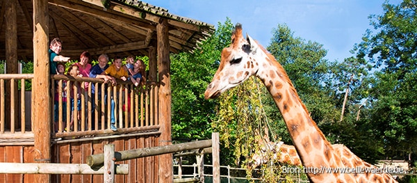 Pretparken en speeltuinen in België - Bellewaerde België 