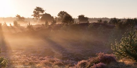 6 redenen om te kamperen in Nederland in plaats van ver weg