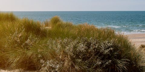 Kamperen aan het strand in Nederland