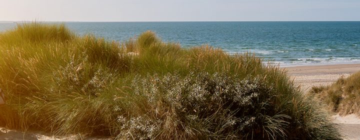 Kamperen aan het strand in Nederland
