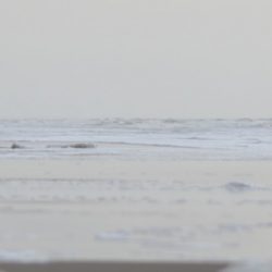 uitwaaien aan zee in zandvoort