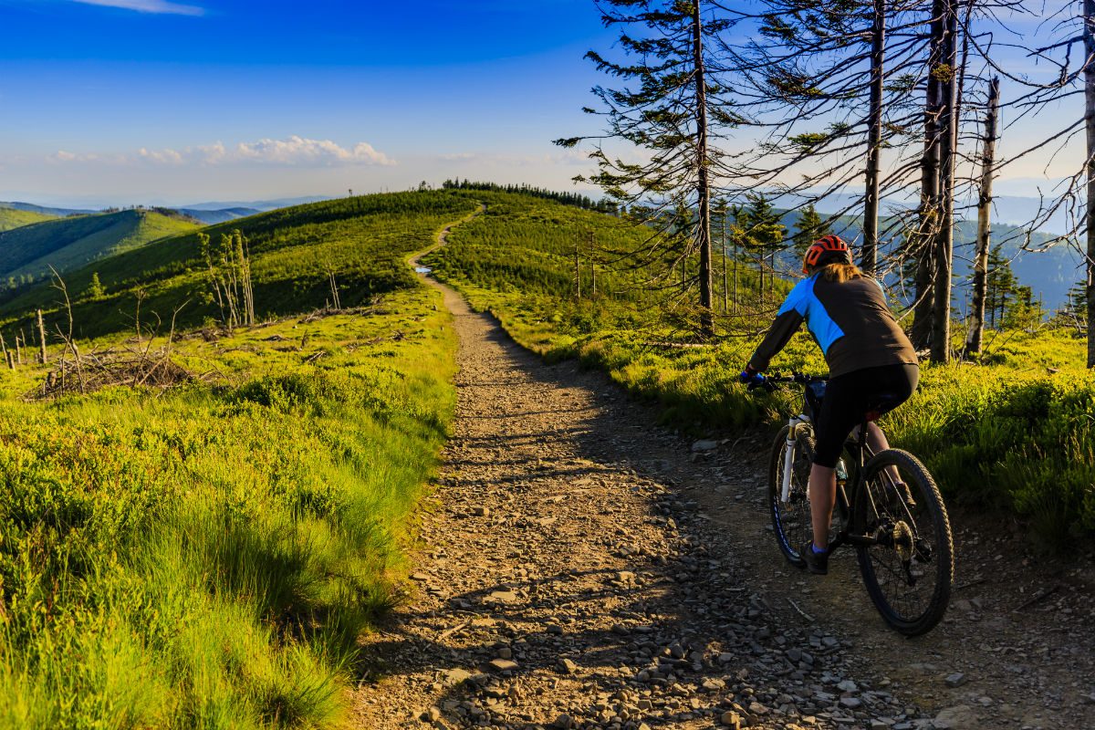 Actief de natuur verkennen op de mountainbike