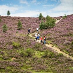 Wat doen met kinderen op de Veluwe?