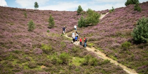 5 tips: wat te doen met kinderen op de Veluwe?