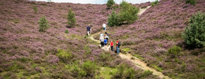 5 tips: wat te doen met kinderen op de Veluwe?