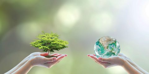Een groene vakantie – 5 tips voor duurzaam kamperen