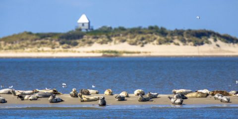 Ervaar Nederland en België op zijn mooist