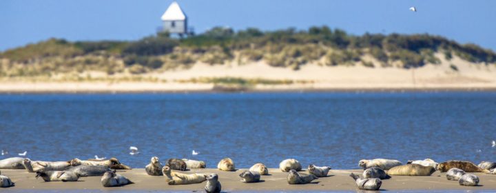 Ervaar Nederland en België op zijn mooist