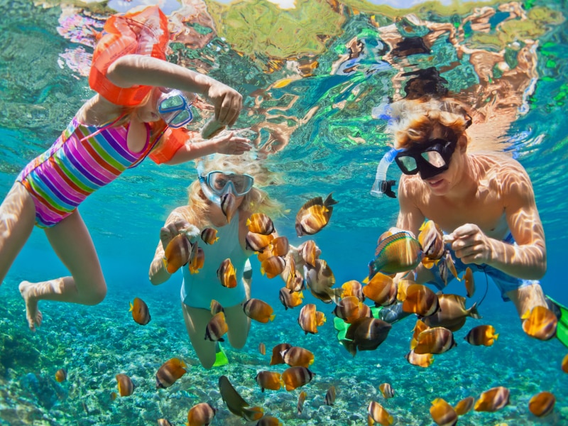 Snorkelen is de makkelijkste manier om het onderwaterleven te ontdekken