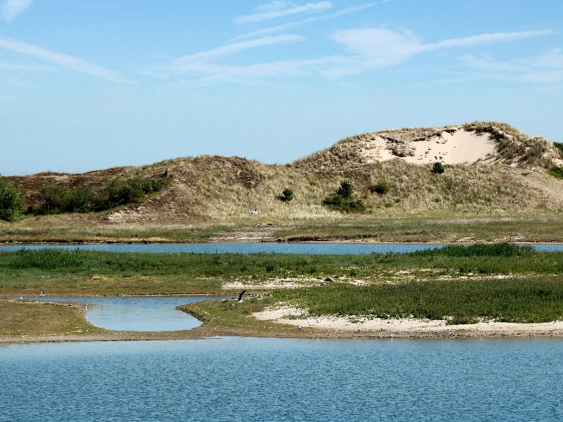 Ten zuiden van de badplaats Cadzand ligt natuurgebied 't Zwin. Vanaf het strand wandel je er zo naartoe. 