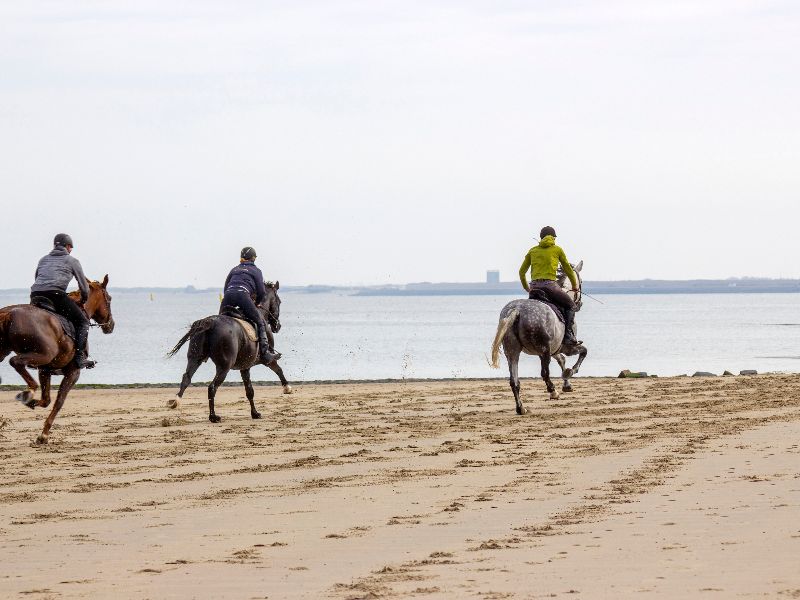 Het strand in Renesse is maar liefst zeventien kilometer lang. Alle ruimte om bijvoorbeeld te paardrijden over het strand.