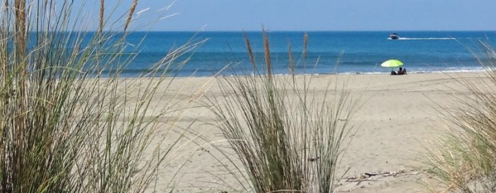 De 7 mooiste stranden van Zeeland