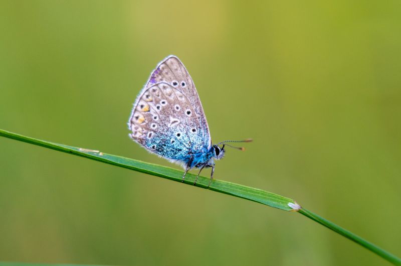 Nationaal park Plitivicemeren