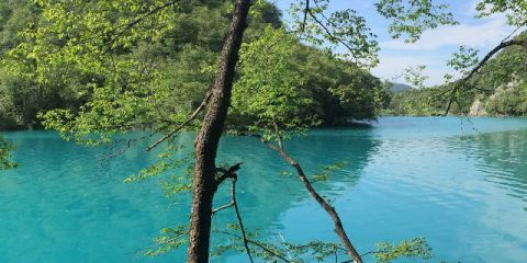 Een sprookjeswereld in Kroatië: Nationaal Park Plitvicemeren