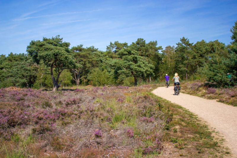 Nationaal Park Maasduinen Limburg