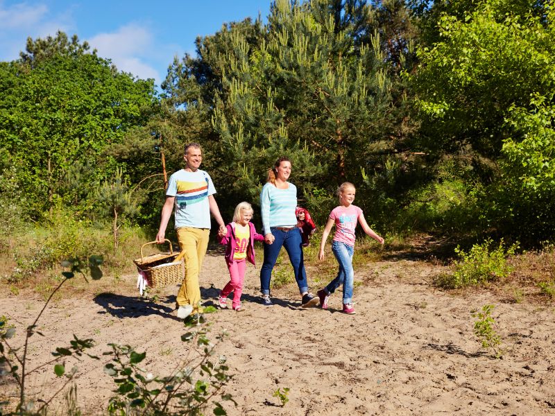 In de lente is de natuur vaak op z'n mooist. Leuk om een wandeling te maken en de picknickmand mee te nemen.