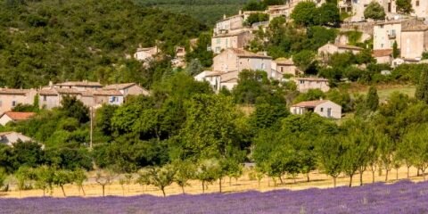 De smaak van de zonnige provence