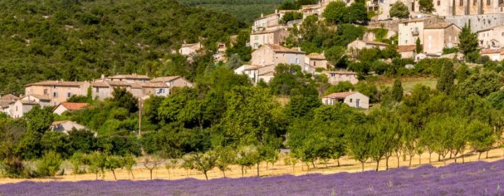 De smaak van de zonnige provence