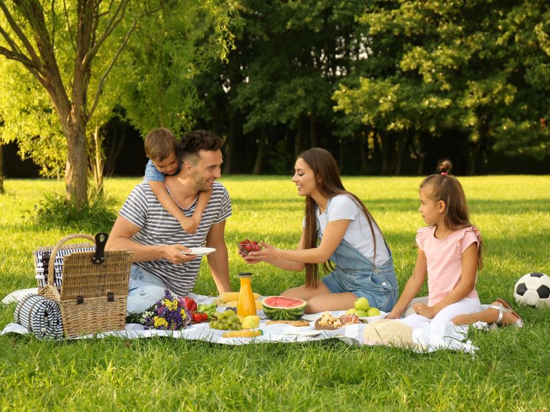 Picknicken op vakantie