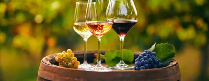 De wijnen van het Gardameer