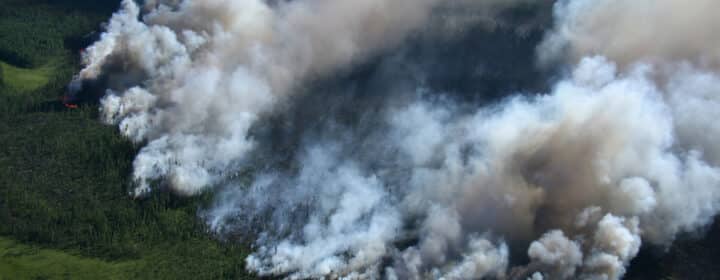 Wat doen bij bosbrand in Frankrijk? Tips voor kamperende gezinnen 