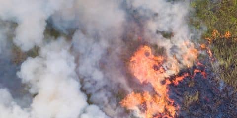 Wat doen bij bosbrand in Frankrijk? Tips voor kamperende gezinnen 