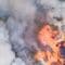 Wat doen bij bosbrand in Frankrijk? Tips voor kamperende gezinnen 
