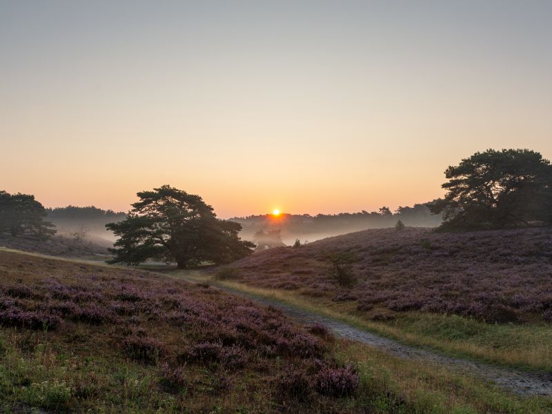 Wandelen in Limburg