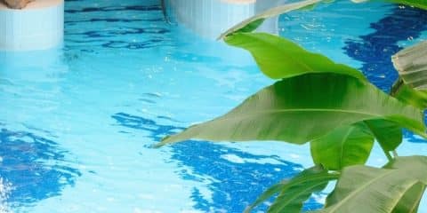 Leuke subtropische zwembaden in België