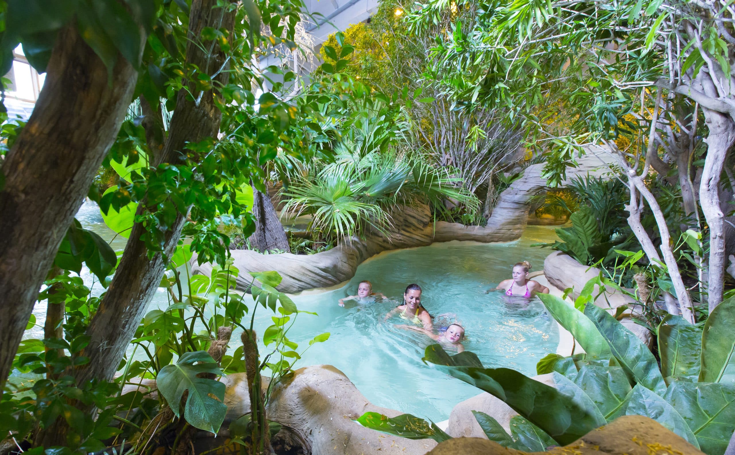binnenzwembad met palmbomen en tropische planten