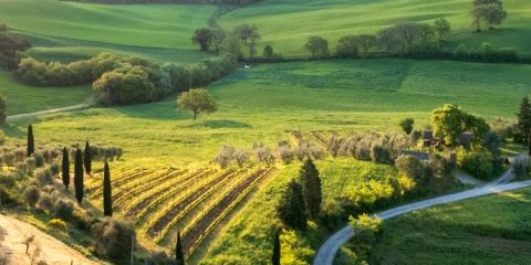 Het klimaat in Toscane: de beste reistijd