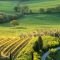 Het klimaat in Toscane: de beste reistijd