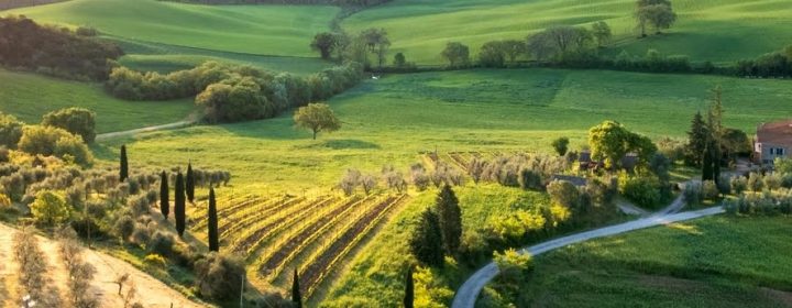 Het klimaat in Toscane: de beste reistijd