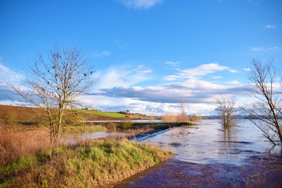 overstroomd veld tussen de heuvels, kale bomen