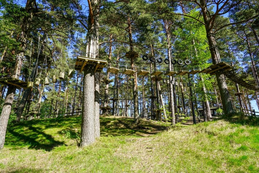 klimpark tussen bomen