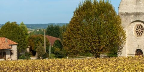 Onbekende vakantieregio’s in Frankrijk