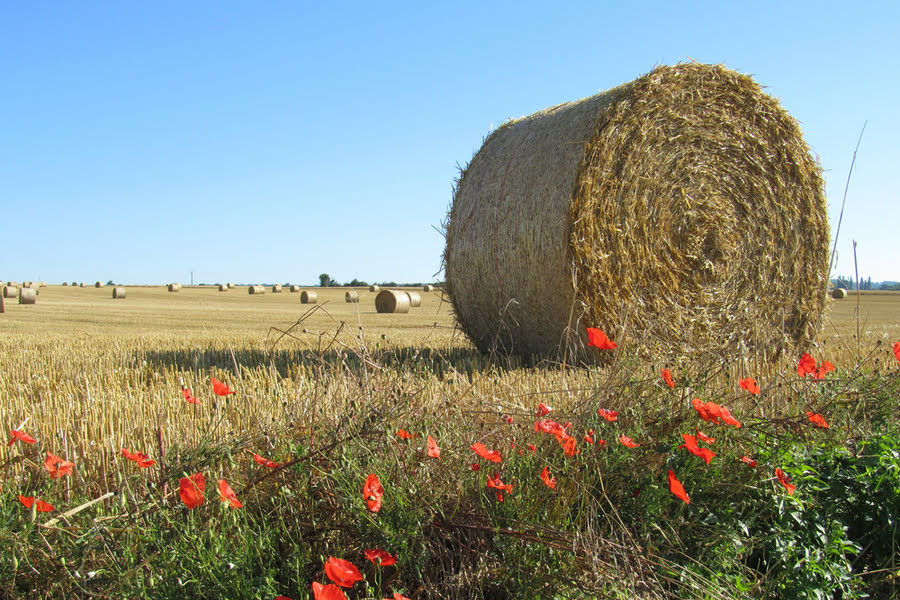 hooibalen op het platteland