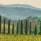 Waar vind je cipressen in Toscane?