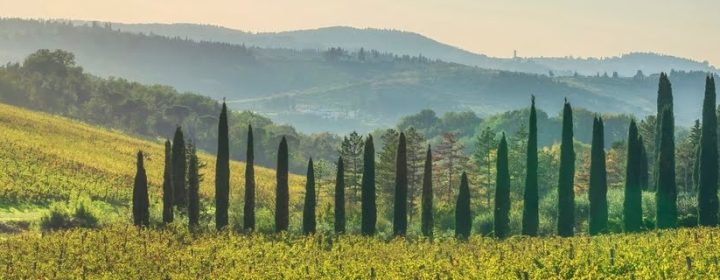Waar vind je cipressen in Toscane?