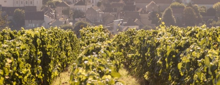 Naar de Bourgogne met kinderen