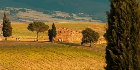 Val d’Orcia: het Toscane van de postkaart