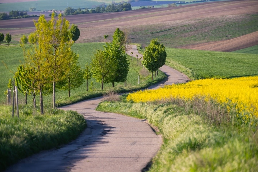 zonnig veld in Toscane