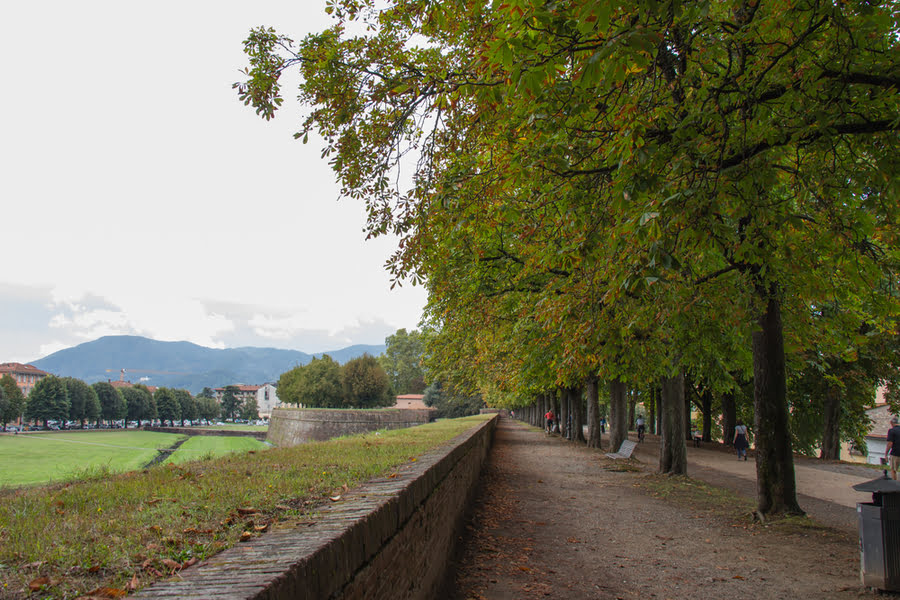 groene stadsmuren van Lucca