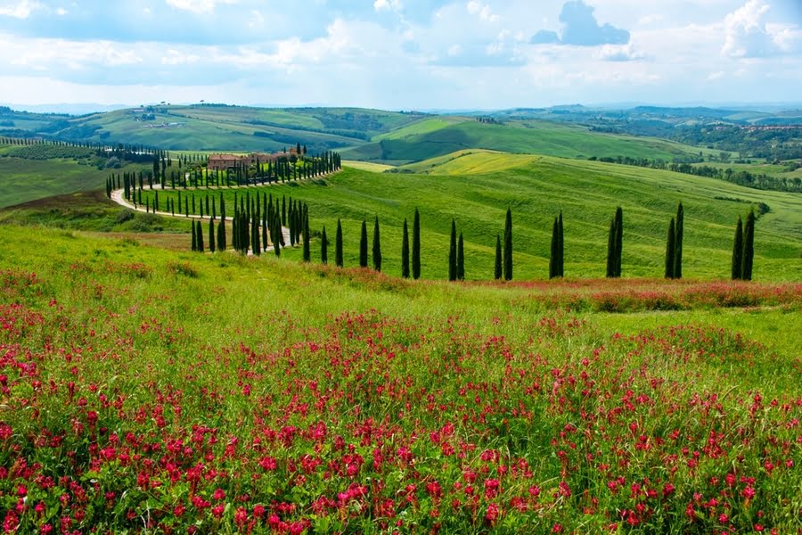 groene vallei in Toscane met cipressen