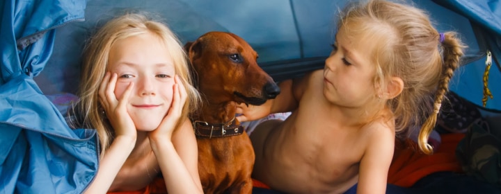 Welke camping past bij kids in de basisschoolleeftijd?