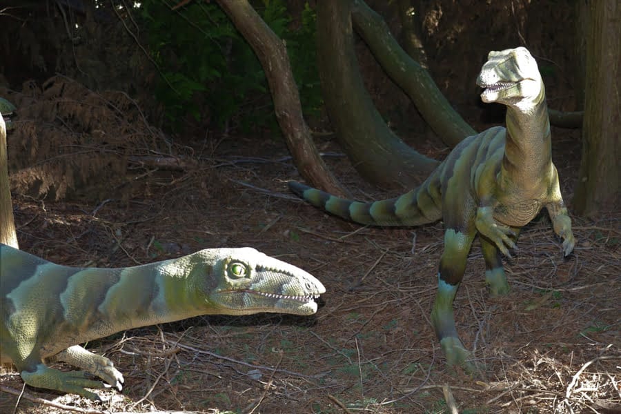 twee neppe dinosaurussen in de schaduw
